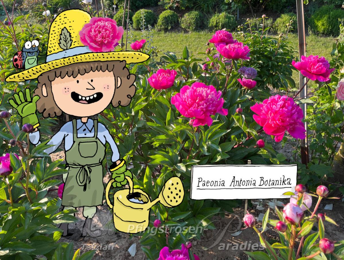 © Max Fiedler, Antonia Botanika