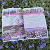 Pfingstrosen-Paradies Katalog