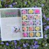 Pfingstrosen-Paradies Katalog