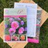 Pfingstrosen-Paradies Katalog