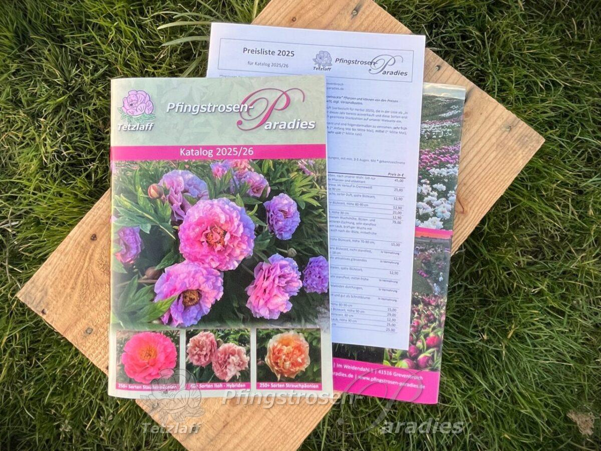 Pfingstrosen-Paradies Katalog