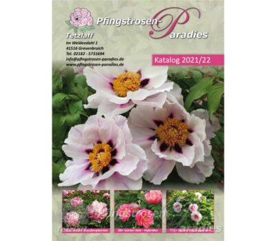 Pfingstrosen-Katalog