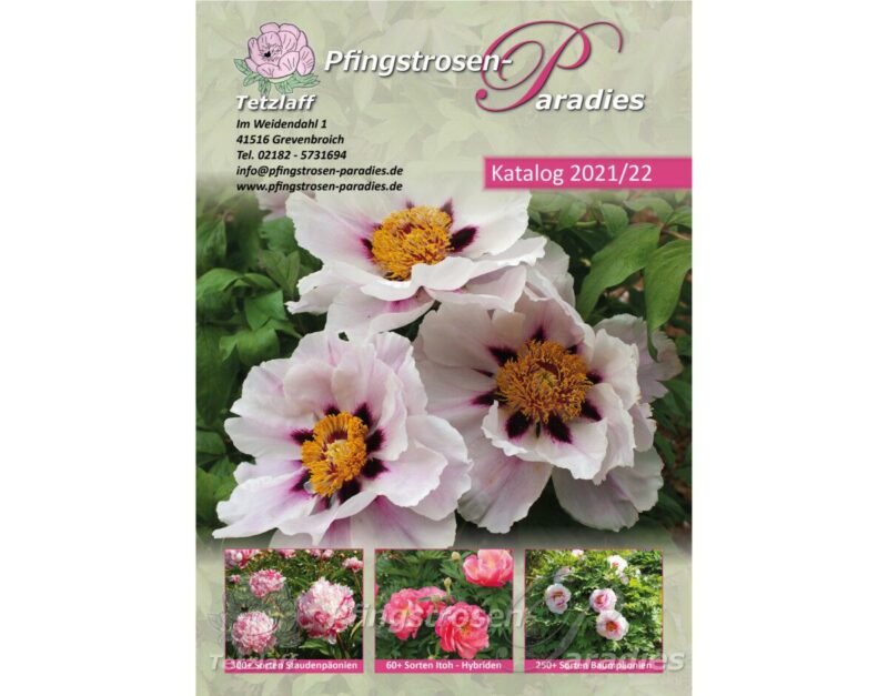 Pfingstrosen-Katalog
