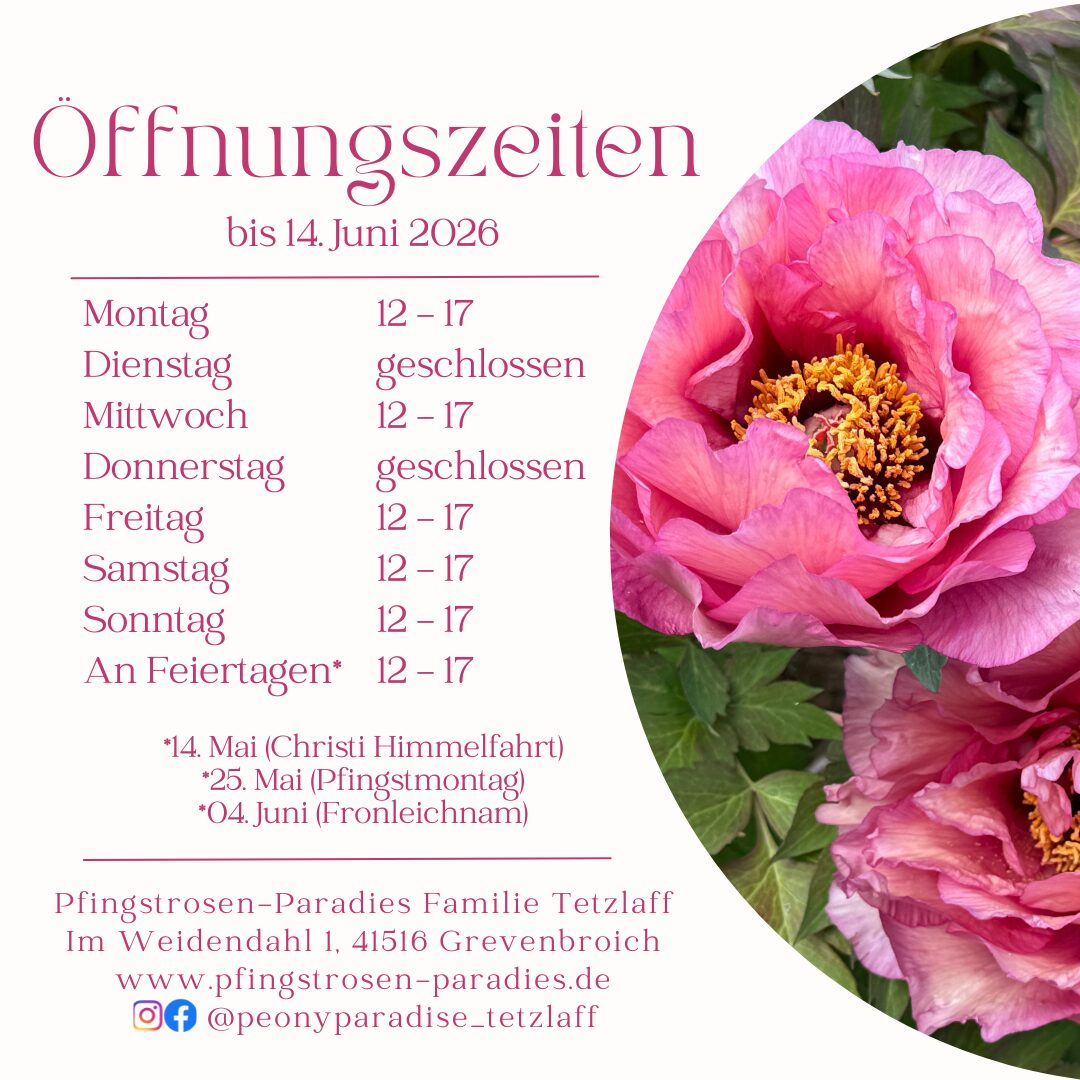 Pfingstrosen-Paradies Öffnungszeiten